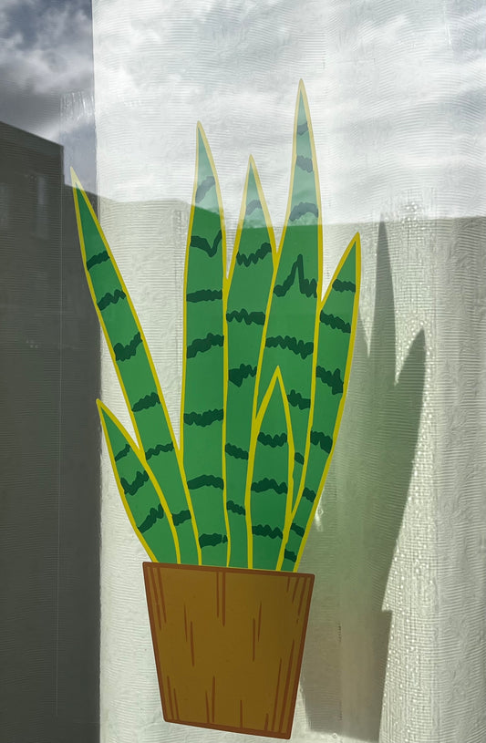 004 Raamfolie Sanseveria 110cmx55cm "het is een plantje van een meter hoog..."