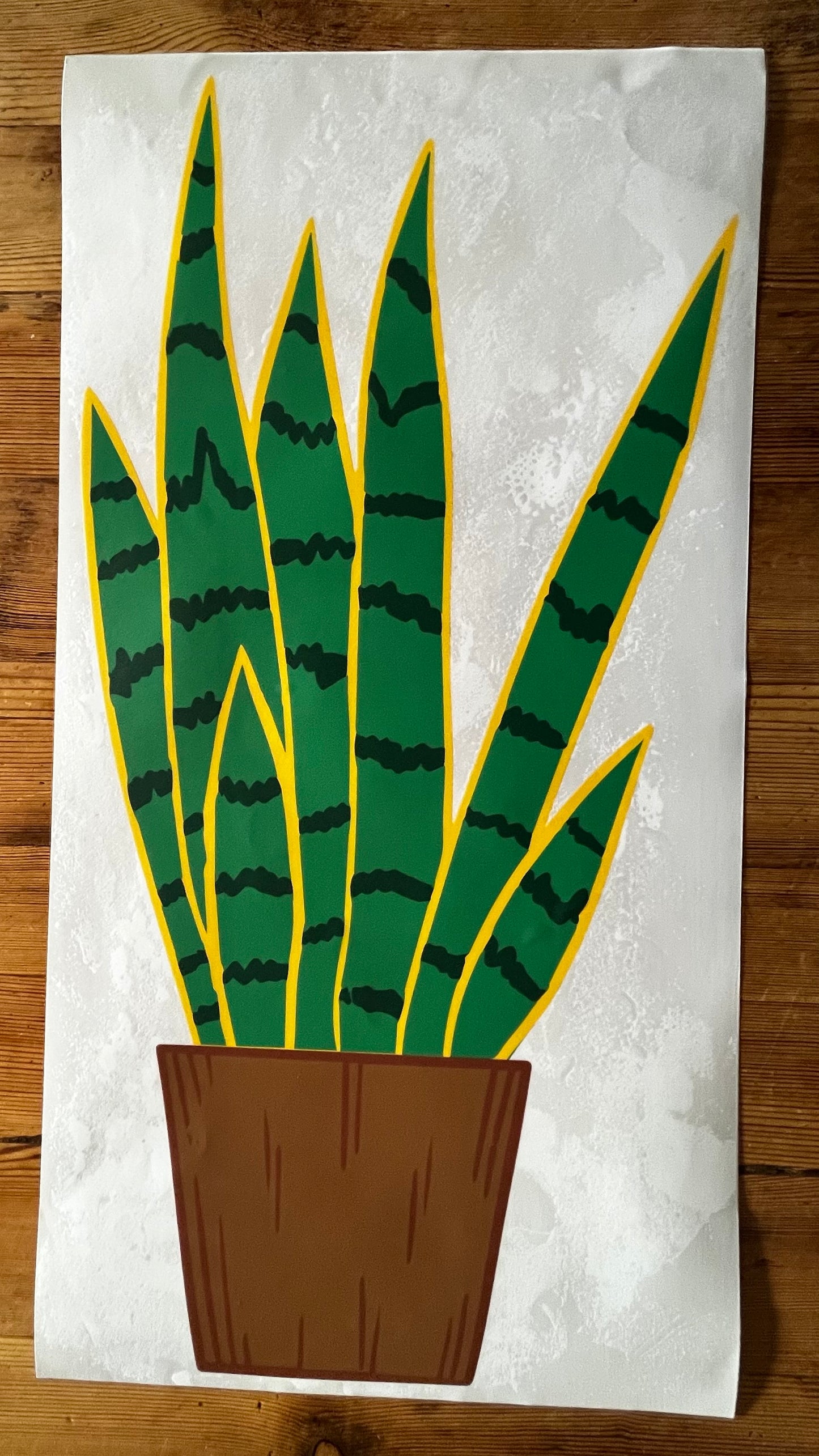 005 Raamfolie Sanseveria 60x30cm