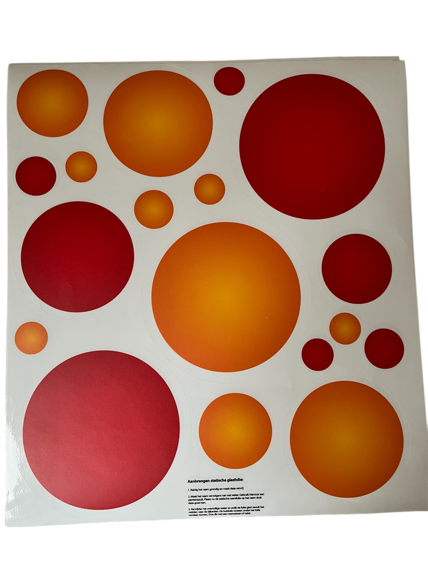 005 Raamfolie Sanseveria 60x30cm